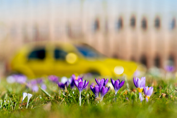 5 Spring Maintenance Tips